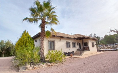 Equestrian property - Resale - MONOVAR - MONOVAR