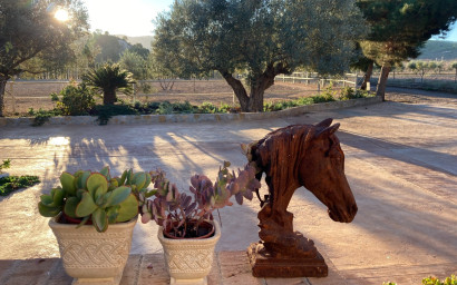 Equestrian property - Resale -
            Murcia - MWoH2342