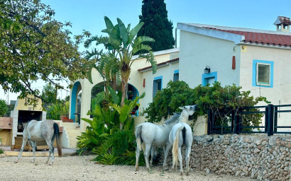 Equestrian property - Resale -
            Polop - ART1187