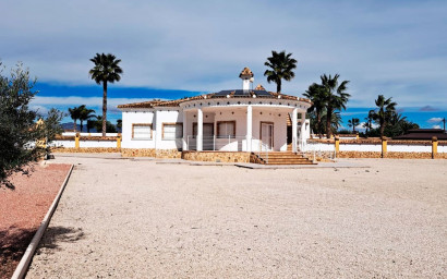 Finca / Country Property - Resale -
            Catral - 48021