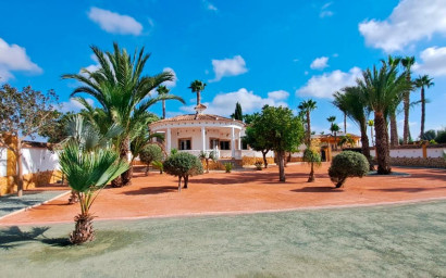 Finca / Country Property - Resale -
            Catral - 98834