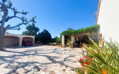 Finca - Country Property - Resale - La Marina - Costa Blanca
