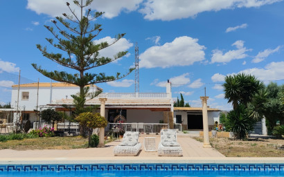 Finca - Country Property - Resale - Los Montesinos - Los Montesinos