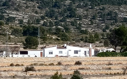 Finca / Country Property - Resale - Monovar - Monovar