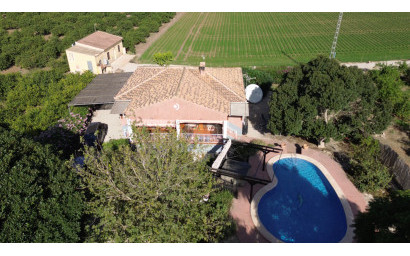 Finca / Country Property - Resale - Orihuela - San Bartolome