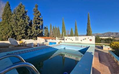 Finca - Country Property - Resale - Sax - Sax
