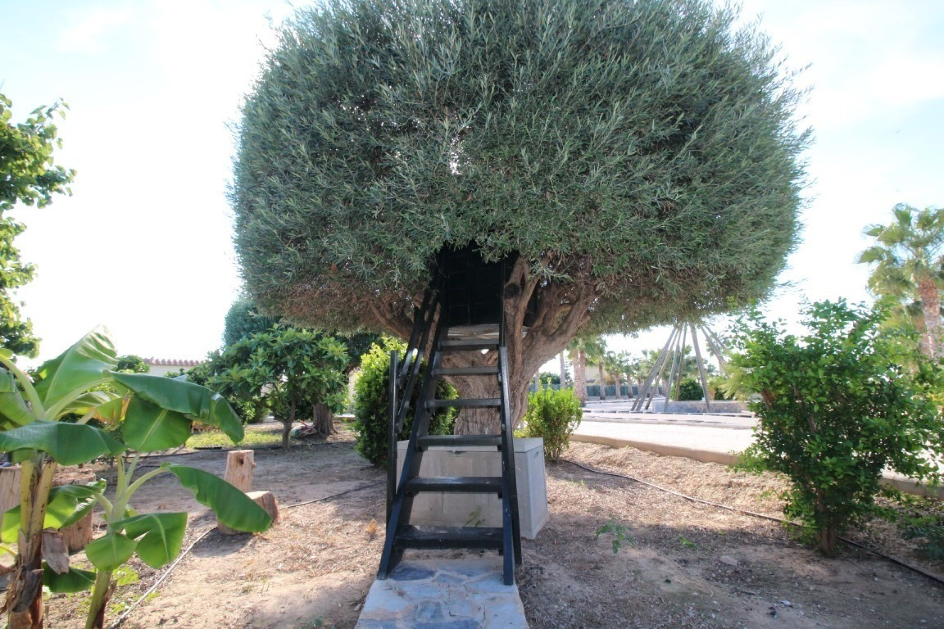 Herverkoop - Detached Villa -
Elche Pedanías - Balsares