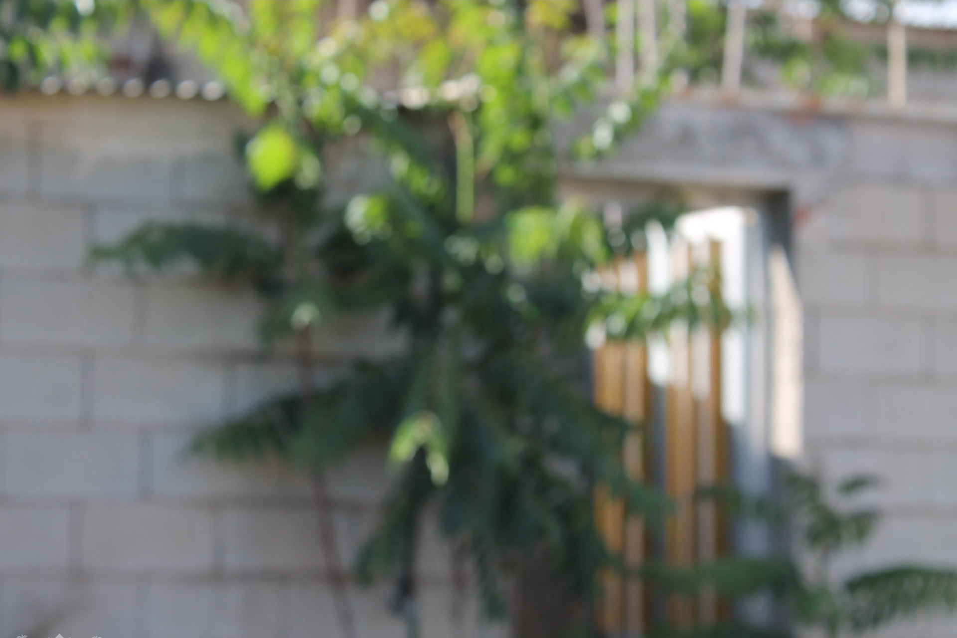 Herverkoop - Herenhuis -
Peña de la Zafra de Arriba - Peña de la Zafra de Arriba Murcia