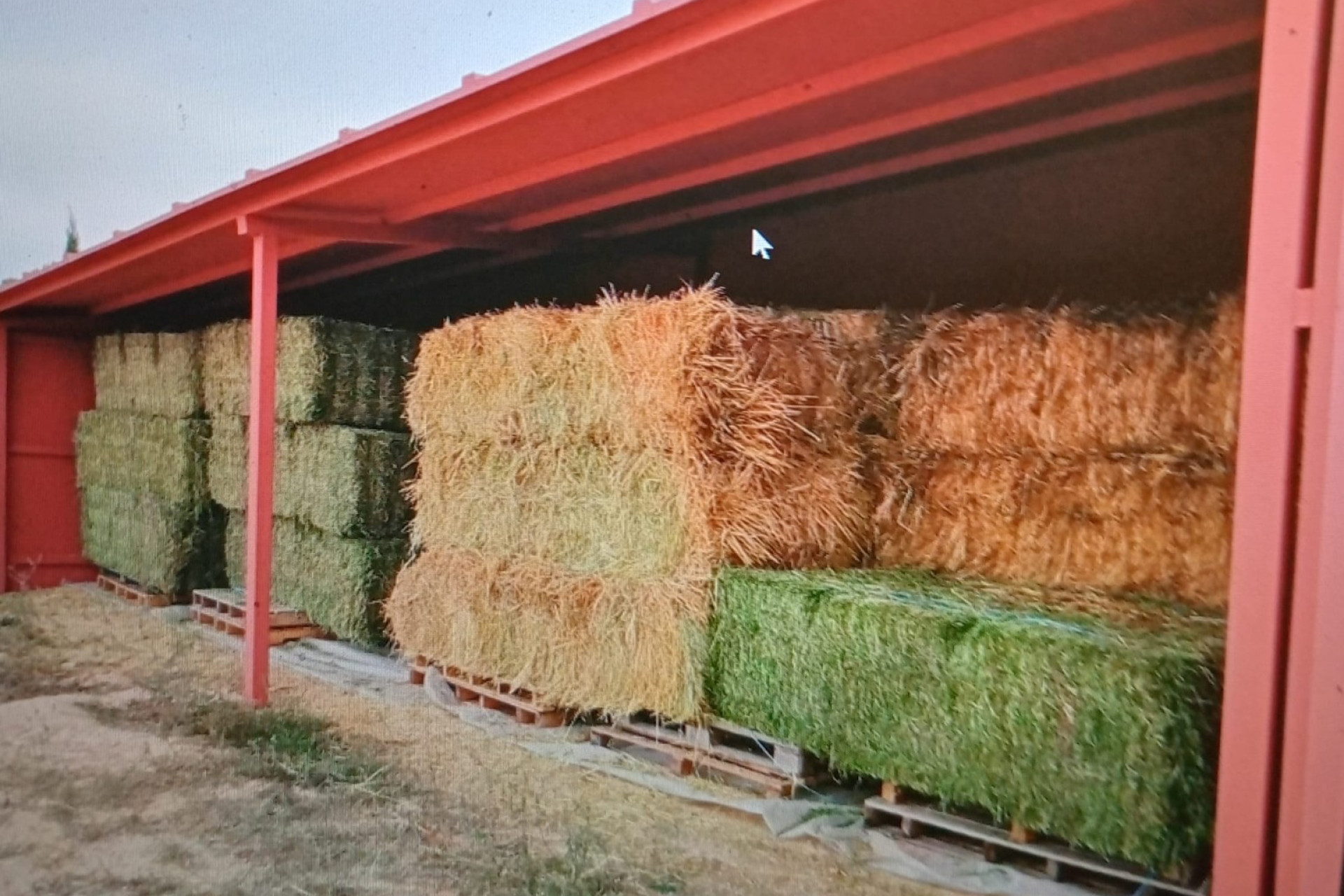 Herverkoop - Hippische installaties -
Zarra