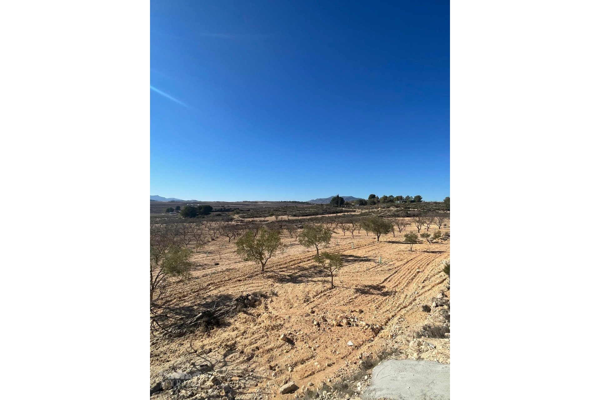 Herverkoop - Land -
Culebr&oacute;n - Culebr&oacute;n Alicante