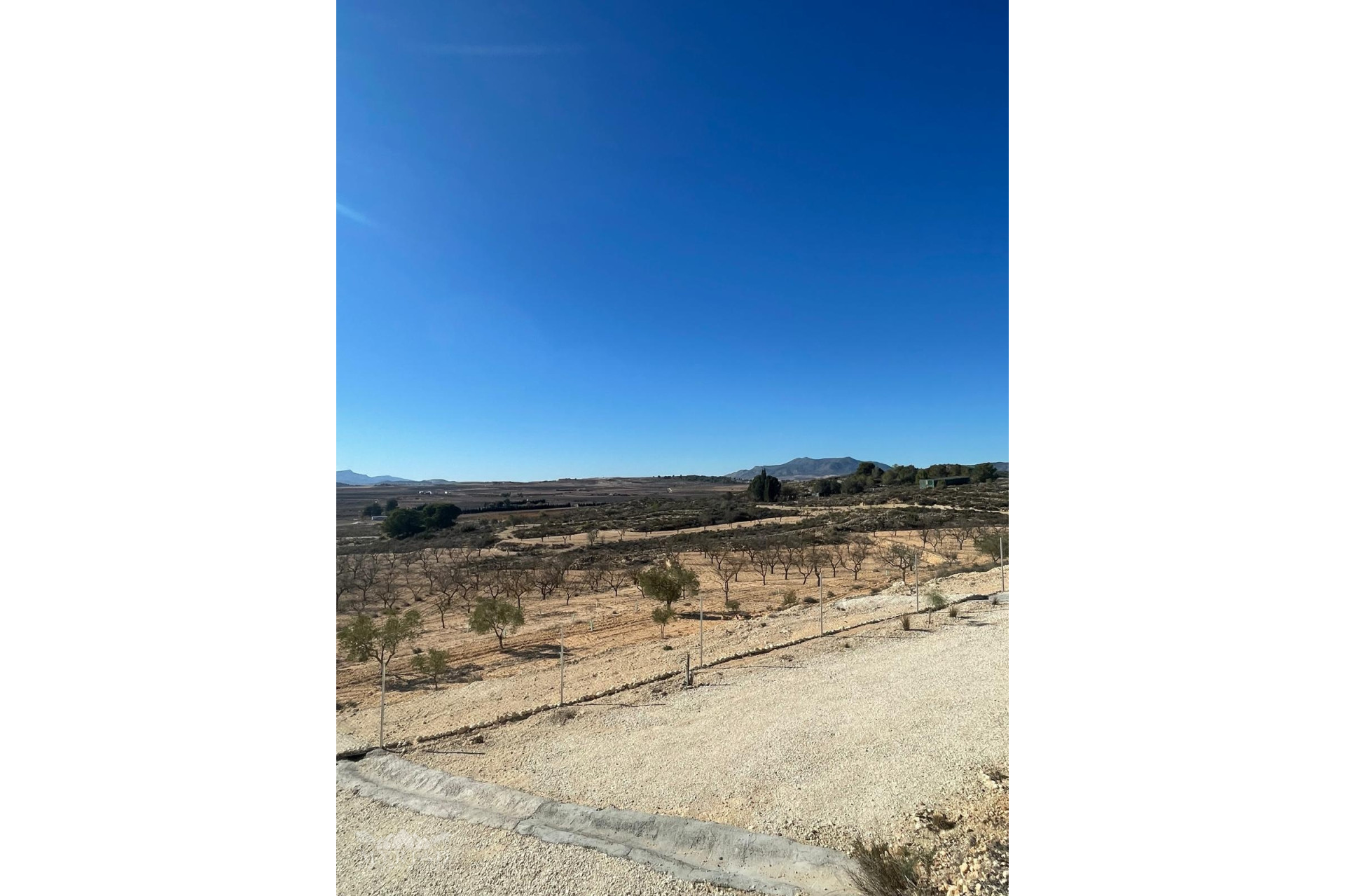 Herverkoop - Land -
Culebr&oacute;n - Culebr&oacute;n Alicante