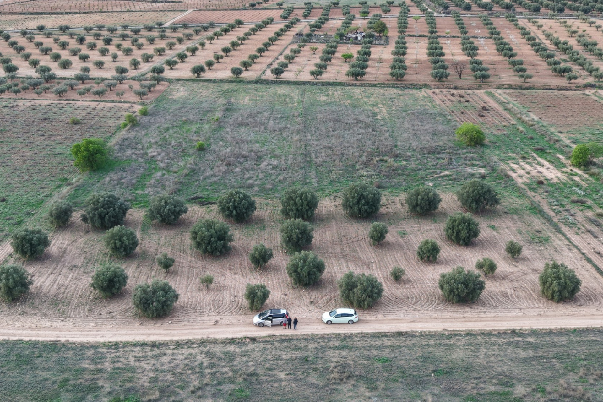 Herverkoop - Land -
Jumilla