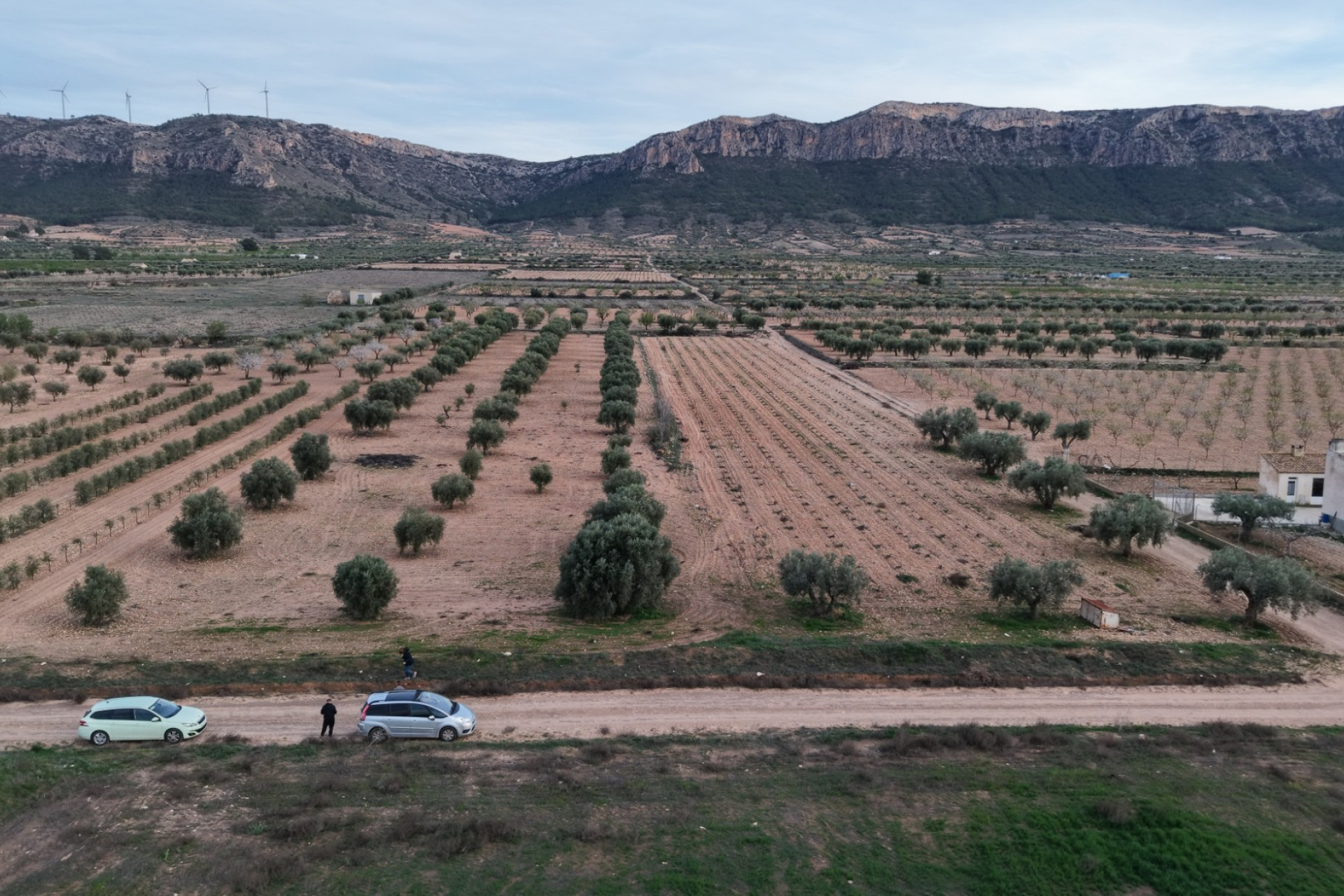 Herverkoop - Land -
Jumilla