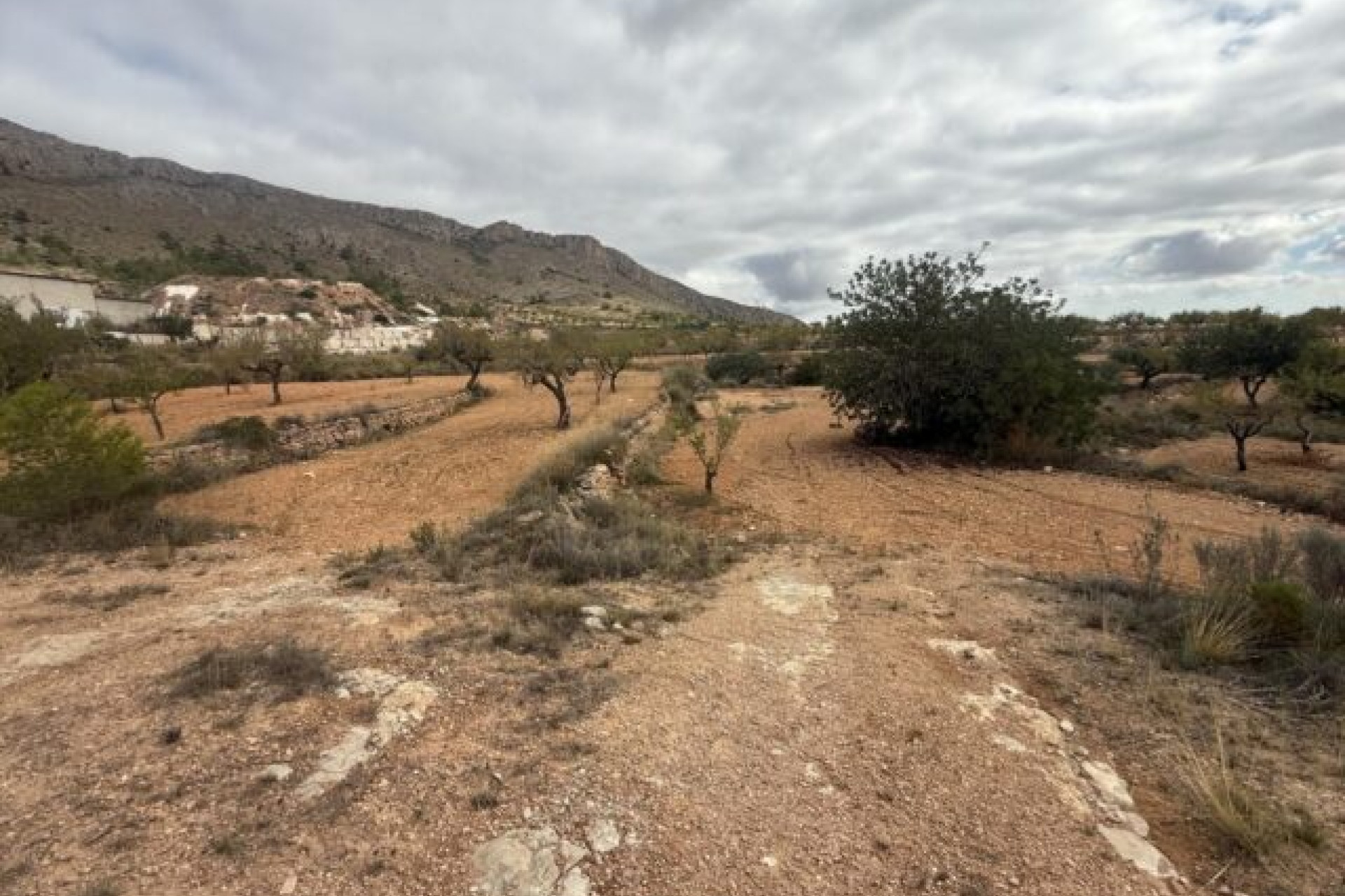 Herverkoop - Land -
La Romana