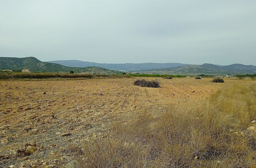 Herverkoop - Land -
Mon&oacute;var - Monovar