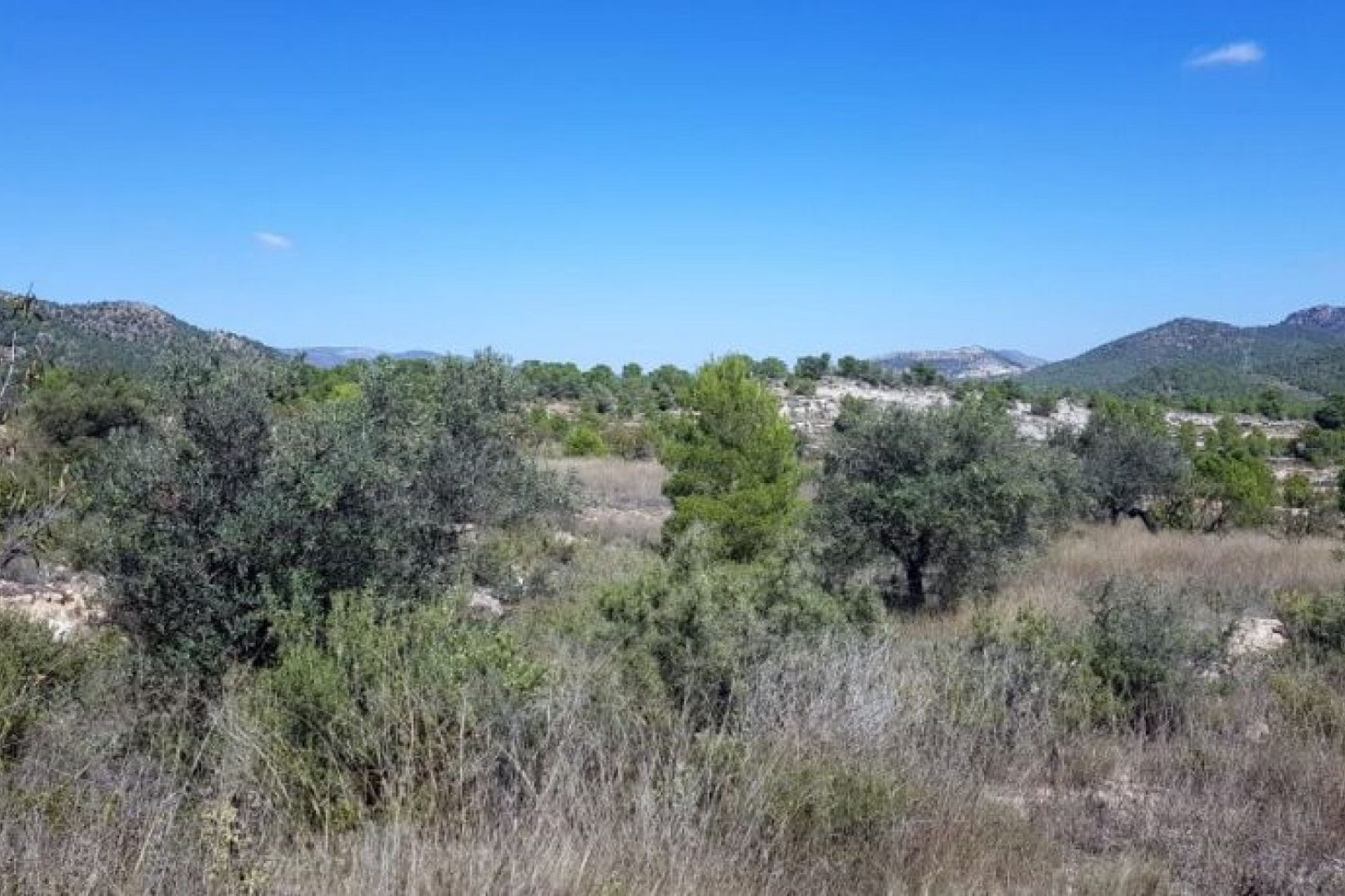 Herverkoop - Land -
Mon&oacute;var - Monovar