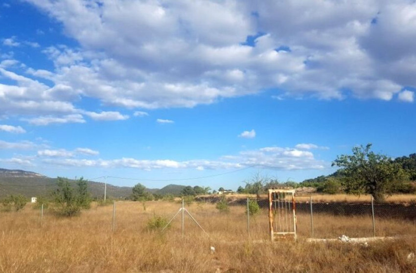 Herverkoop - Land -
Mon&oacute;var - Monovar
