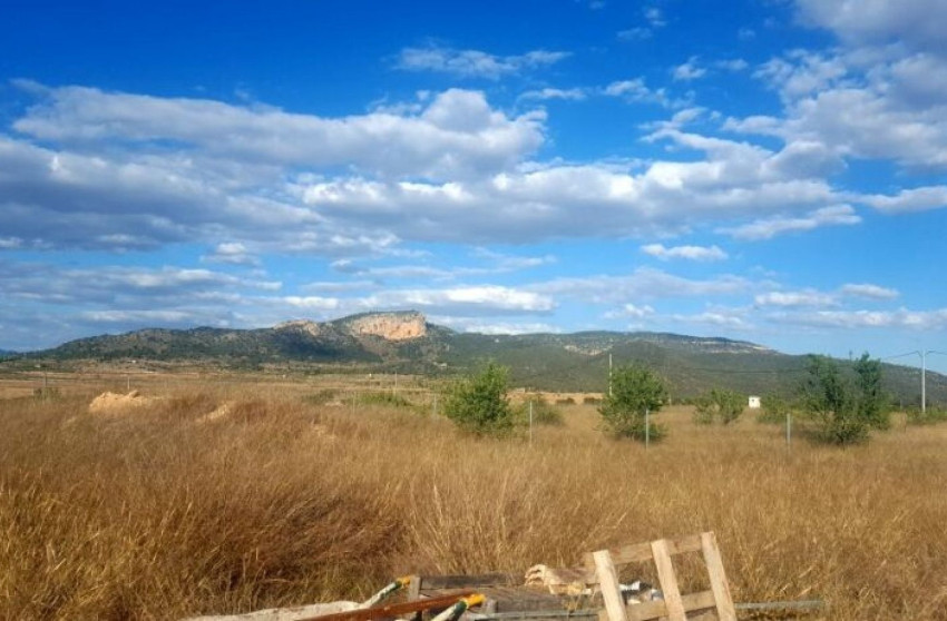 Herverkoop - Land -
Mon&oacute;var - Monovar
