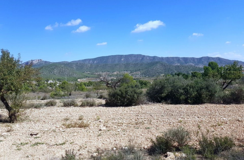 Herverkoop - Land -
Monovar