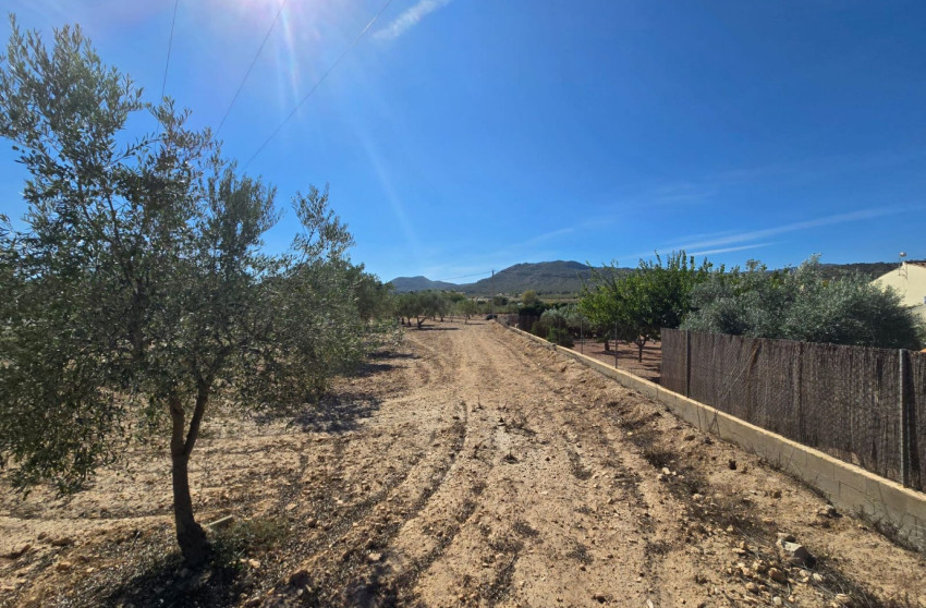 Herverkoop - Land -
Salinas