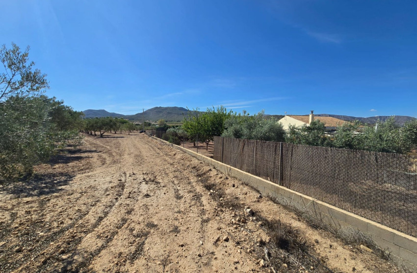 Herverkoop - Land -
Salinas