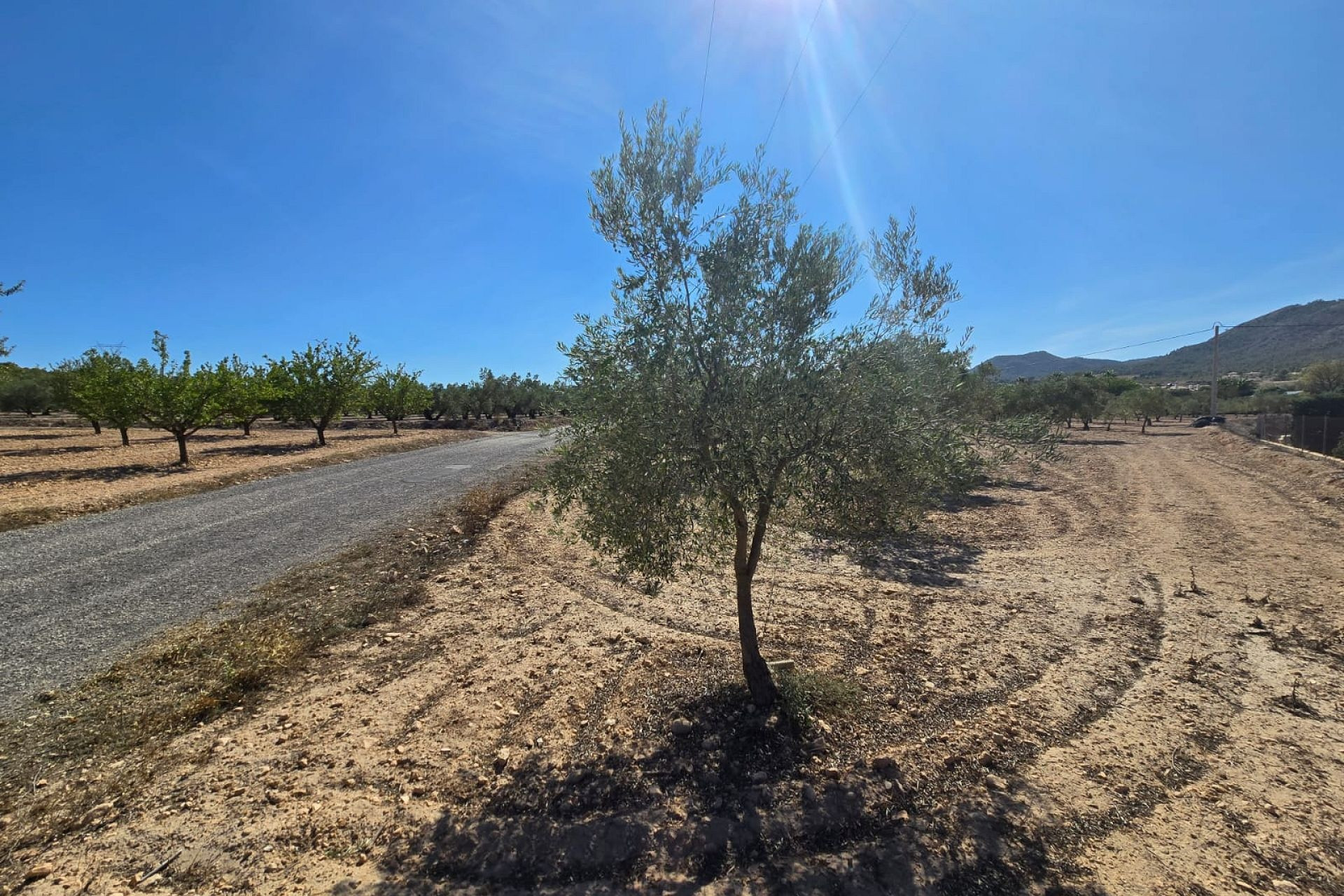 Herverkoop - Land -
Salinas