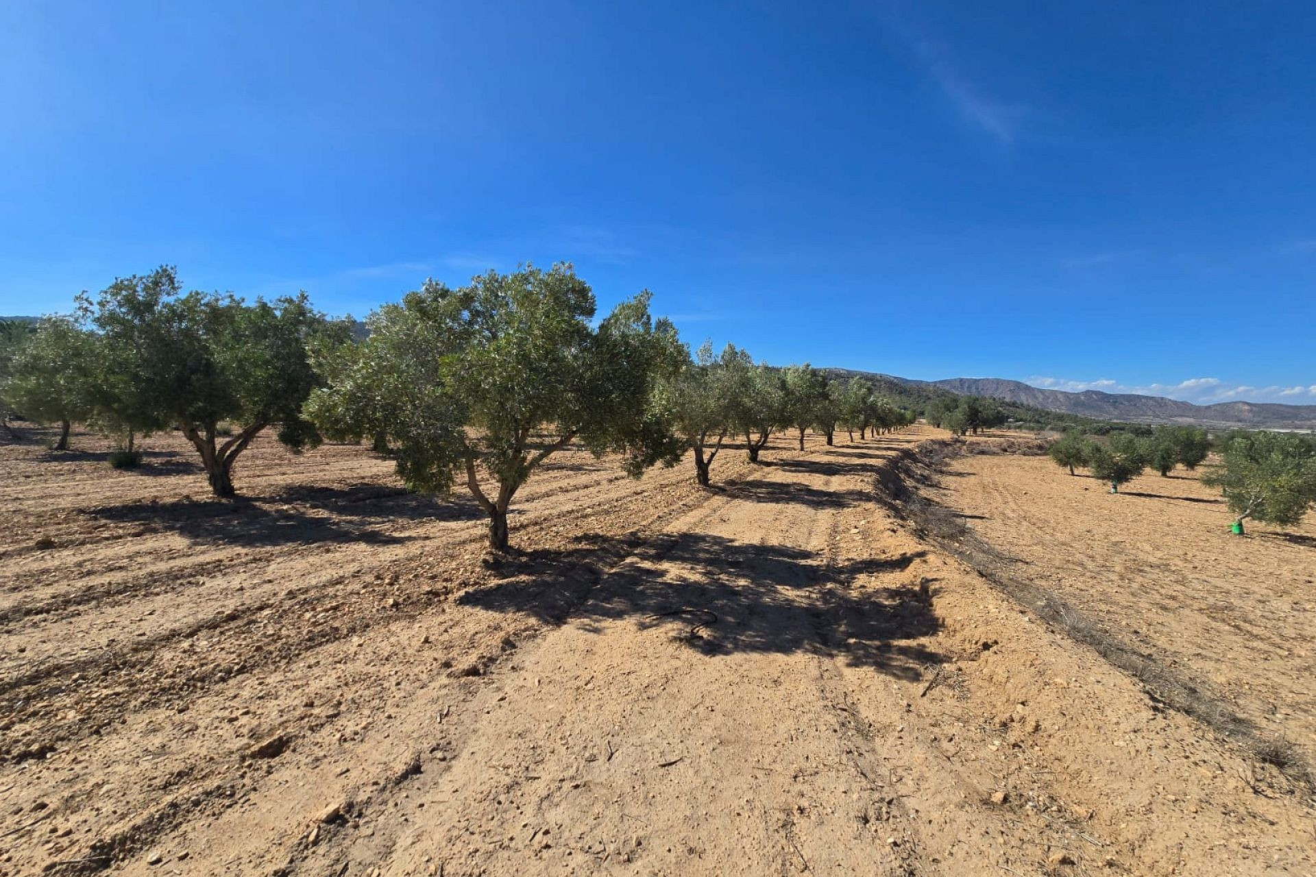 Herverkoop - Land -
Salinas