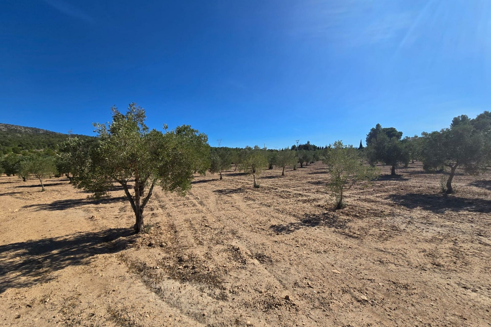 Herverkoop - Land -
Salinas