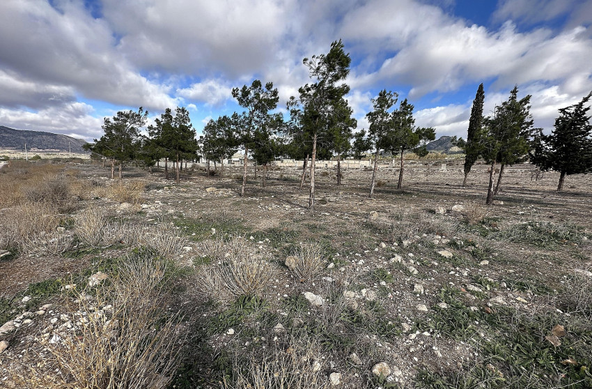 Herverkoop - Land -
Salinas