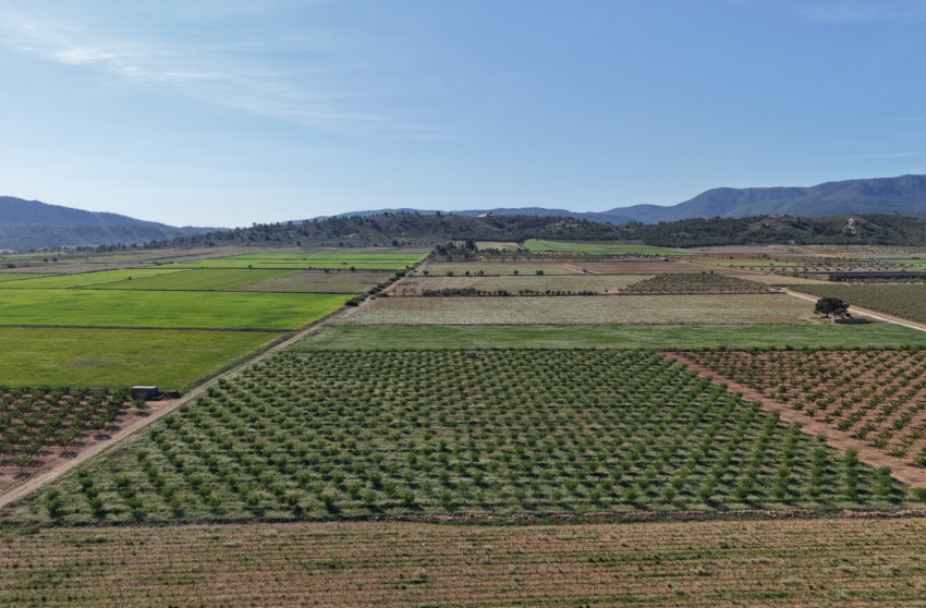 Herverkoop - Land -
Yecla - Yecla Murcia