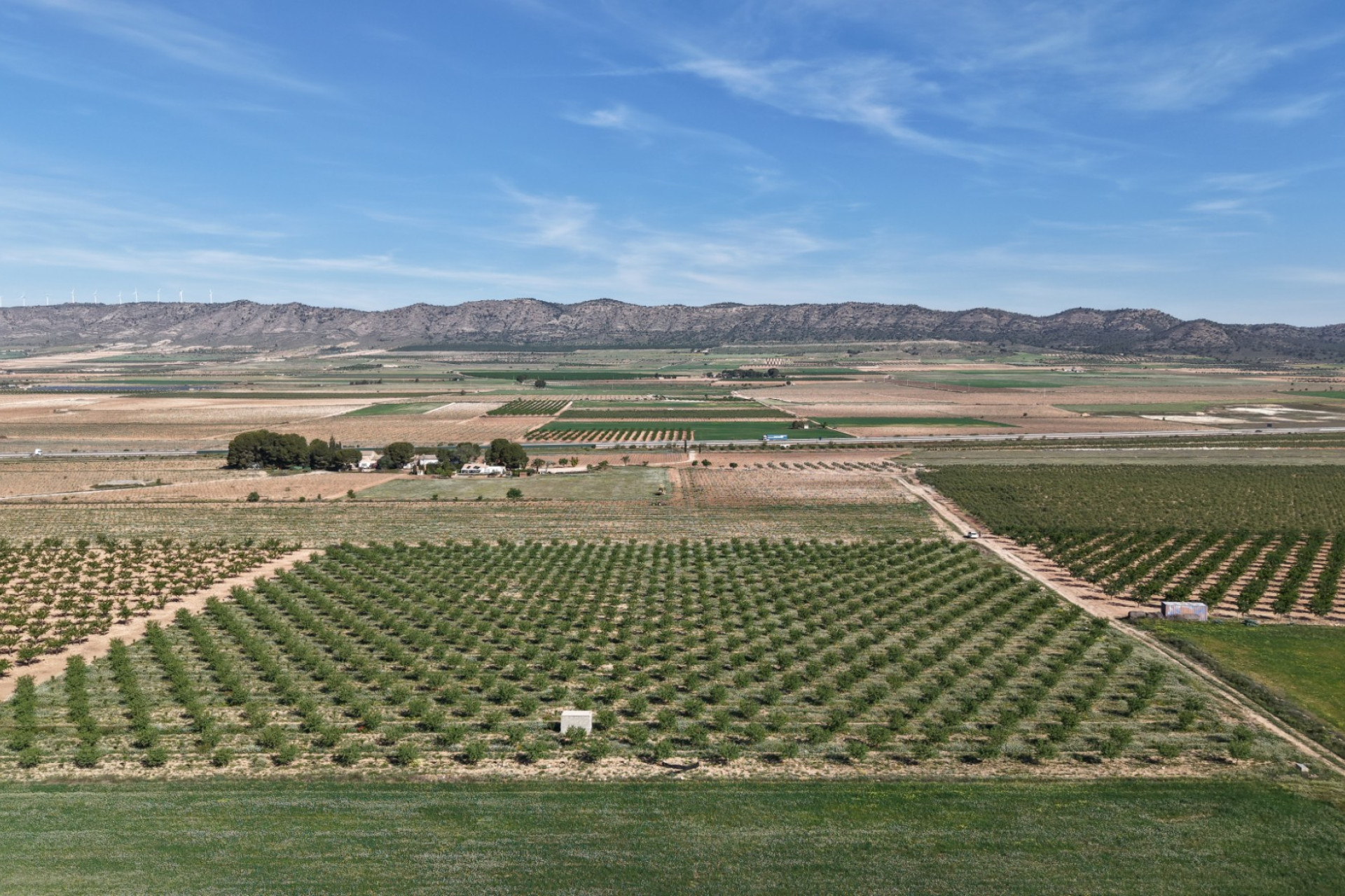 Herverkoop - Land -
Yecla - Yecla Murcia