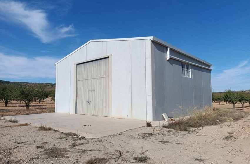 Herverkoop - Land -
Yecla