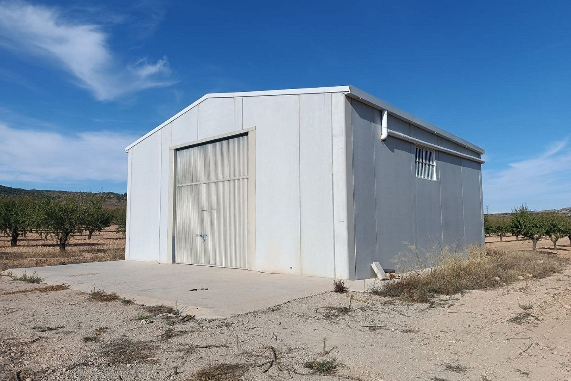 Herverkoop - Land -
Yecla