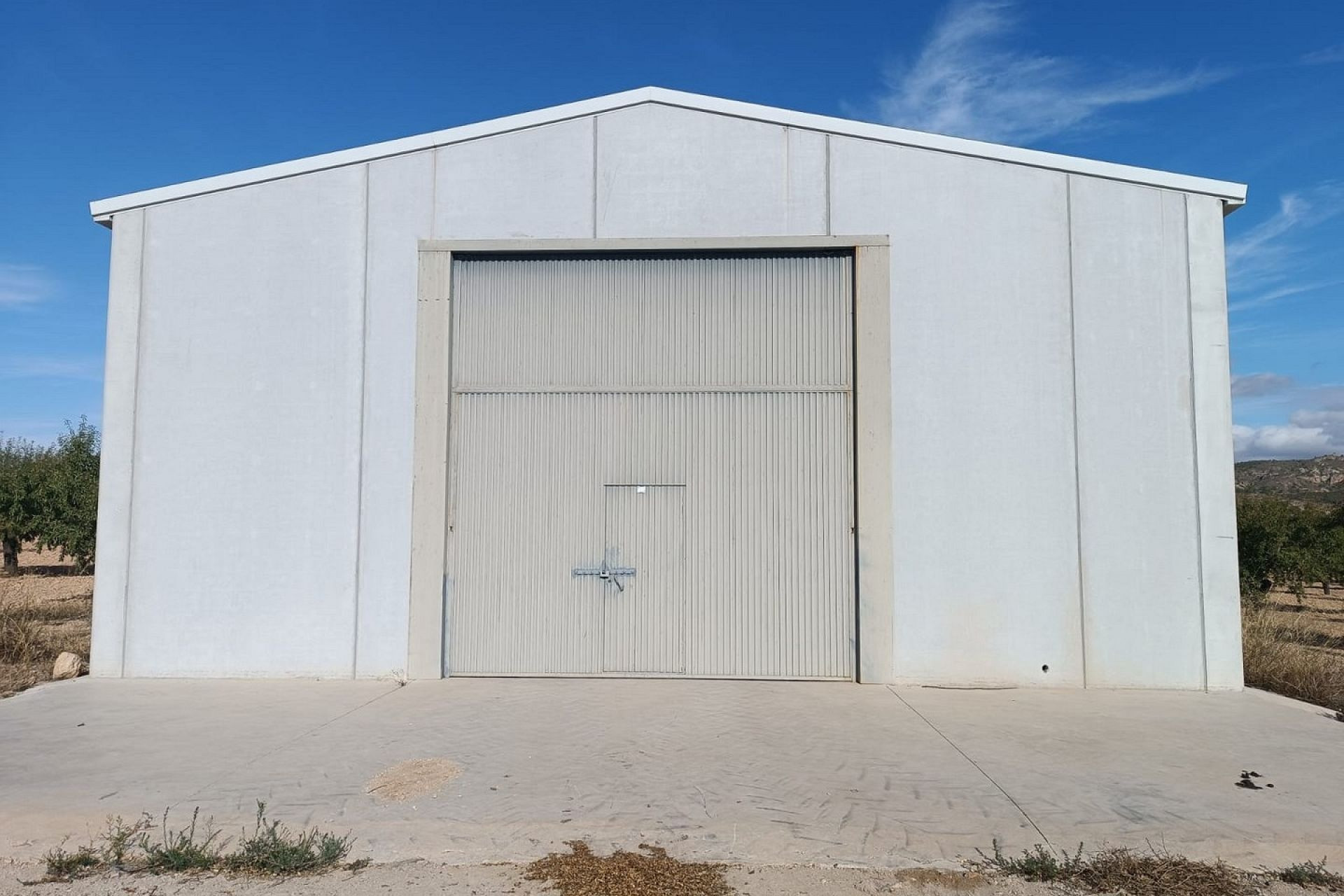 Herverkoop - Land -
Yecla