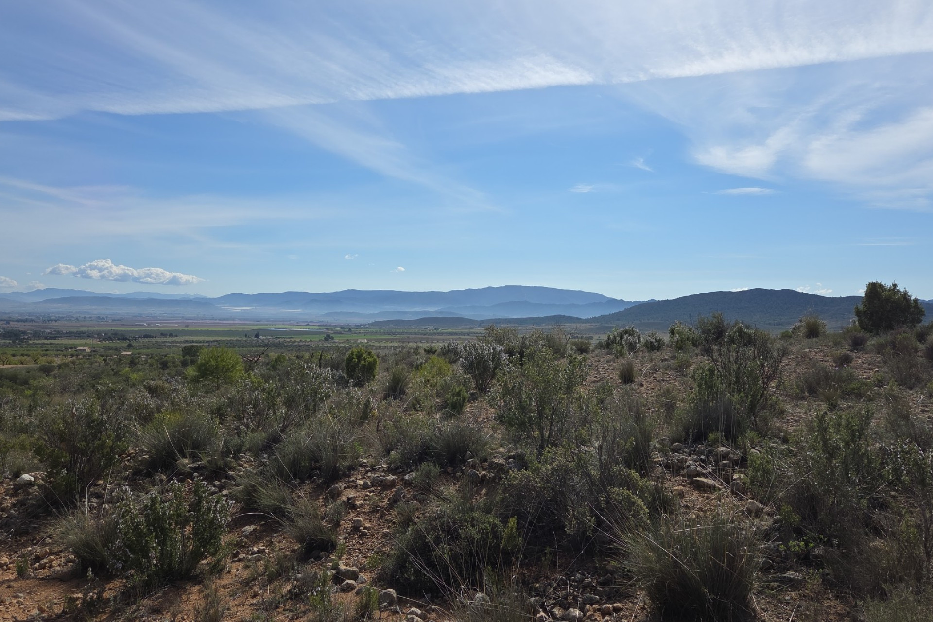 Herverkoop - Land -
Yecla