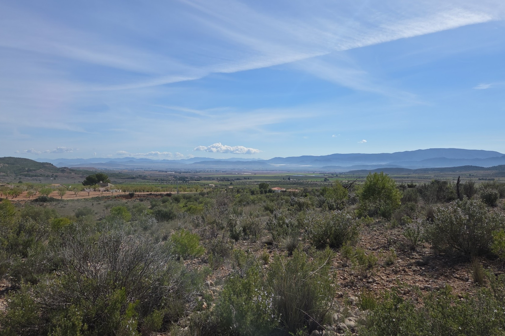 Herverkoop - Land -
Yecla