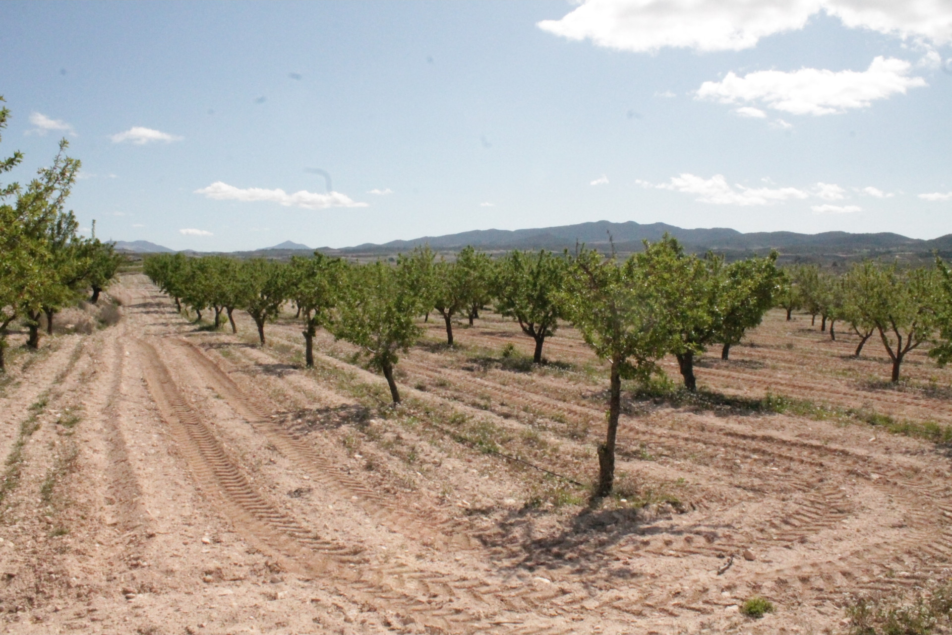 Herverkoop - Landhuis -
Cañada del Trigo - Canada del Trigo Murcia