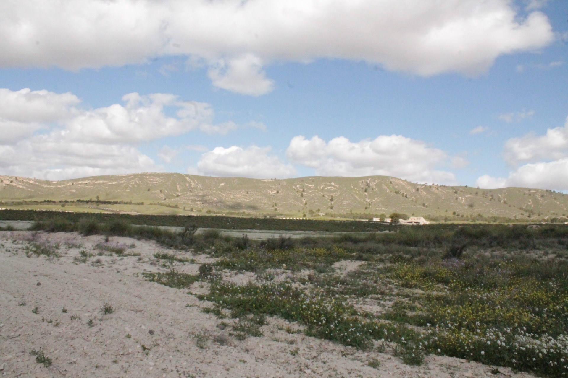 Herverkoop - Landhuis -
Cañada del Trigo - Canada del Trigo Murcia