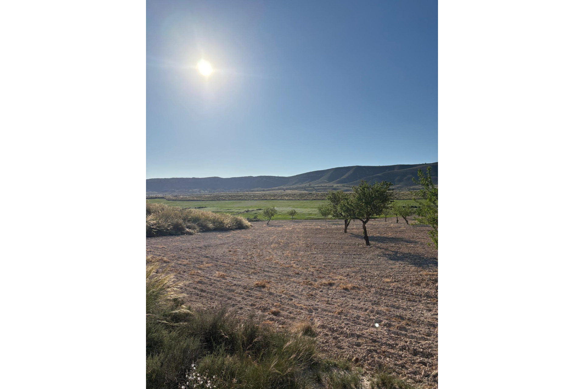 Herverkoop - Landhuis -
Cañada del Trigo - Canada del Trigo Murcia