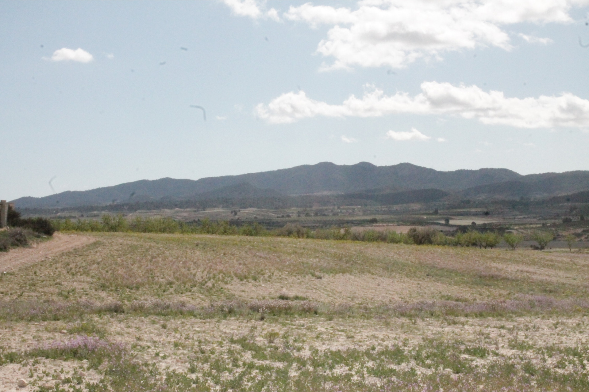 Herverkoop - Landhuis -
Cañada del Trigo - Canada del Trigo Murcia