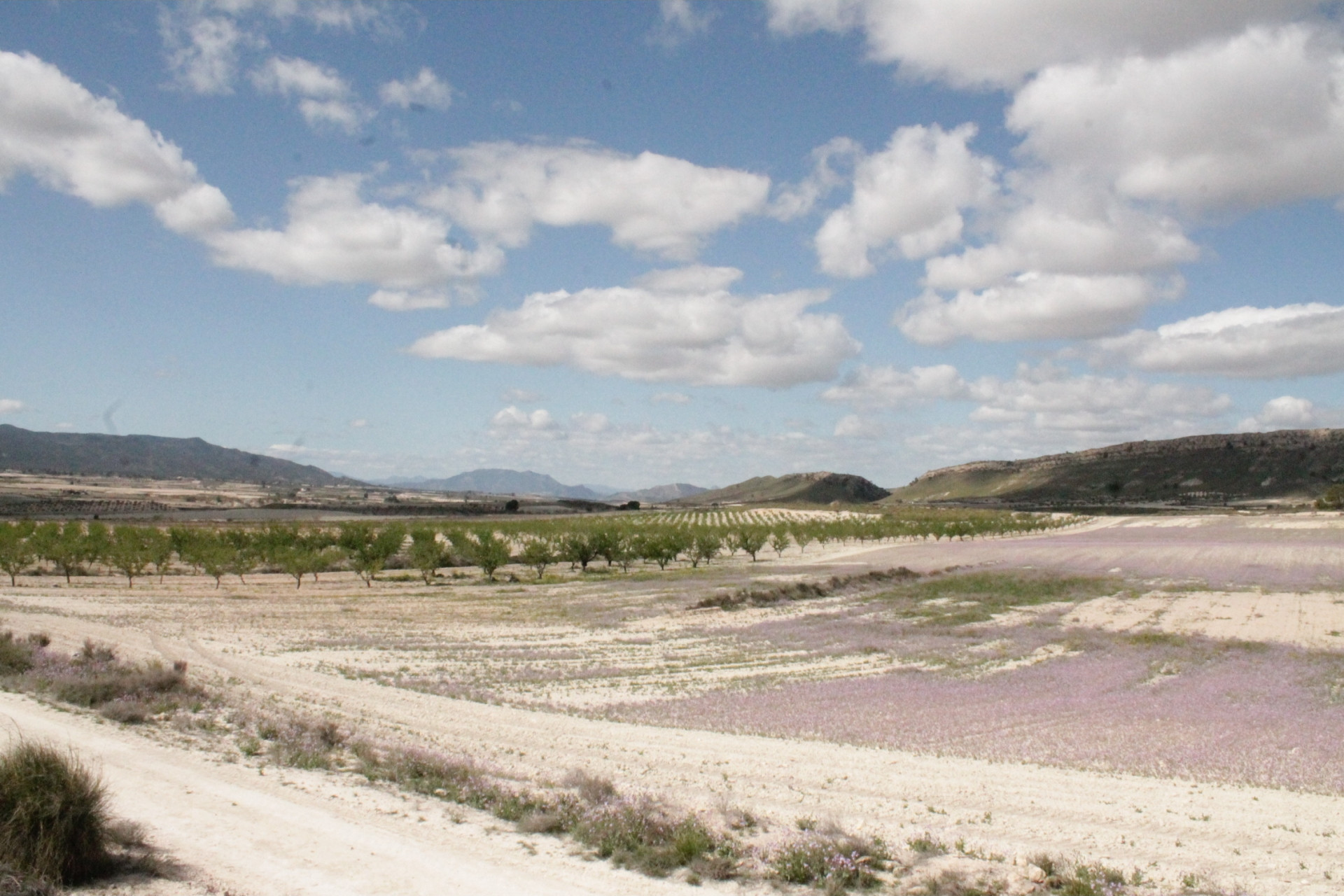 Herverkoop - Landhuis -
Cañada del Trigo - Canada del Trigo Murcia