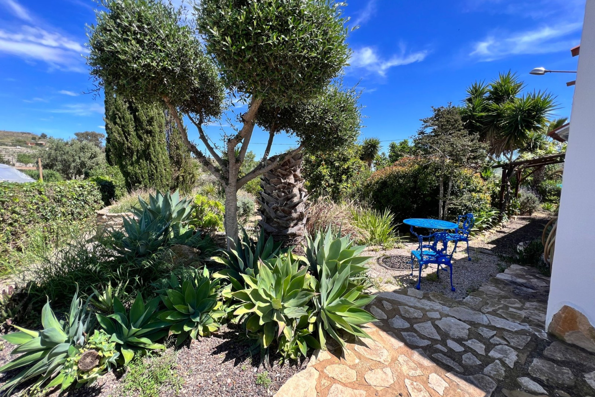 Herverkoop - Landhuis -
Cartagena