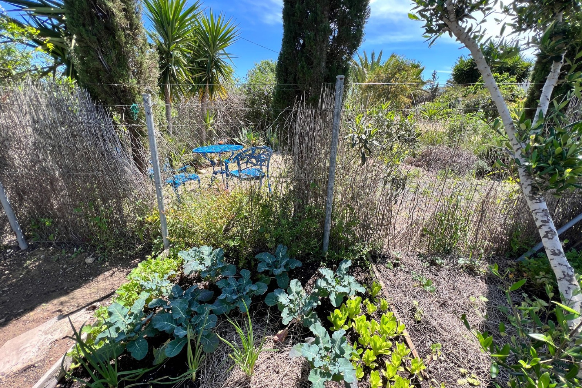 Herverkoop - Landhuis -
Cartagena