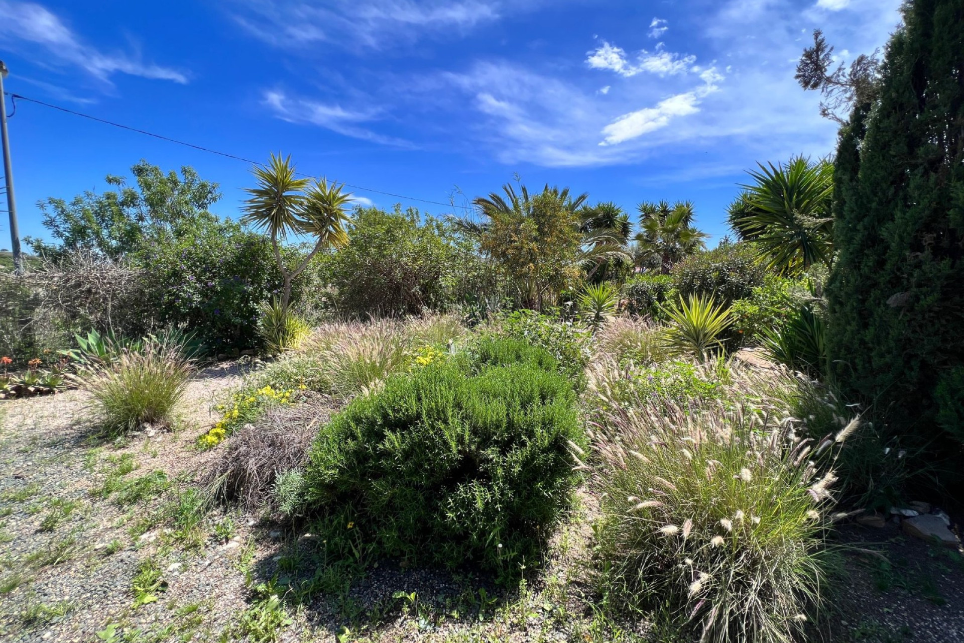Herverkoop - Landhuis -
Cartagena