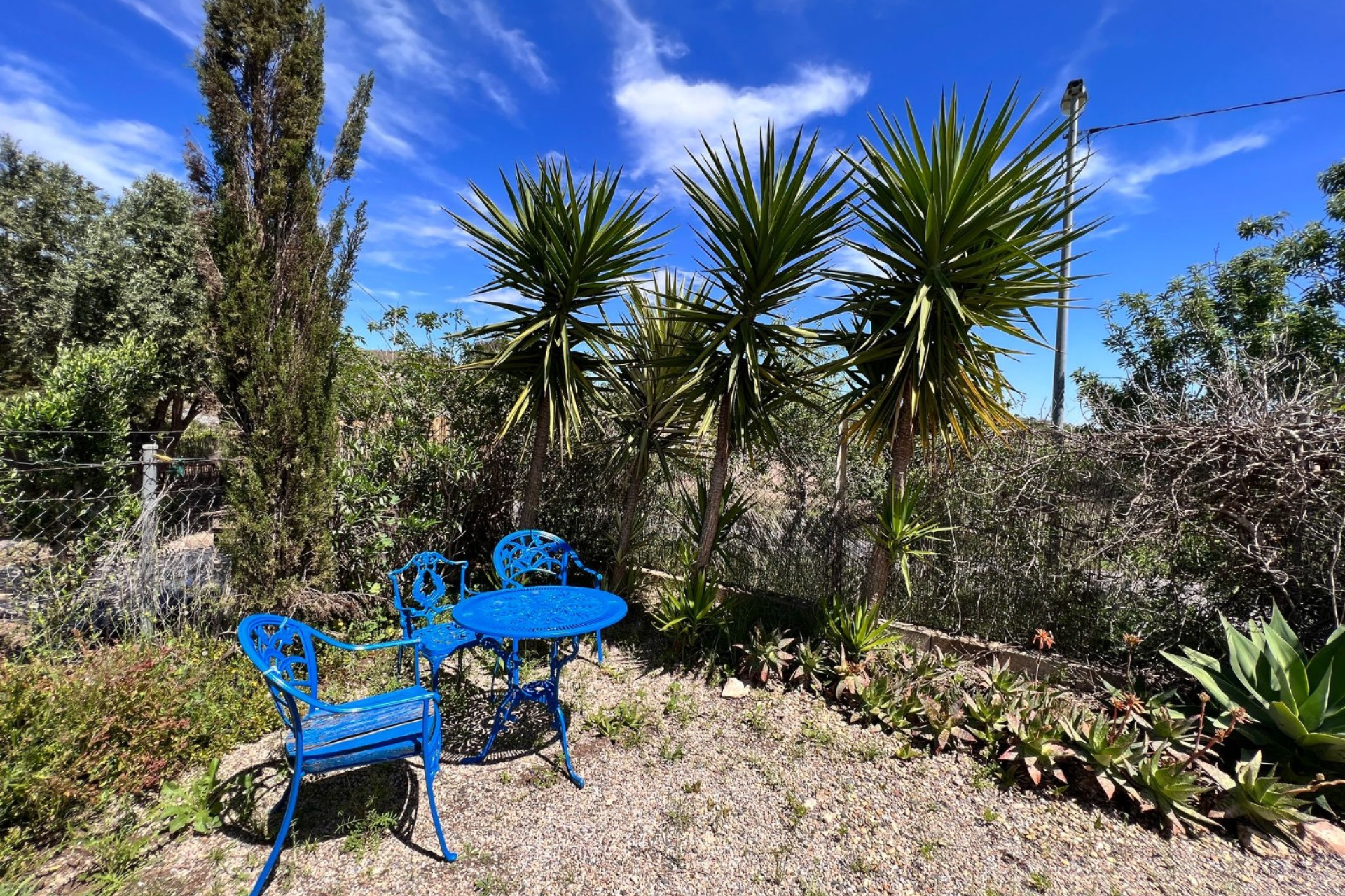 Herverkoop - Landhuis -
Cartagena