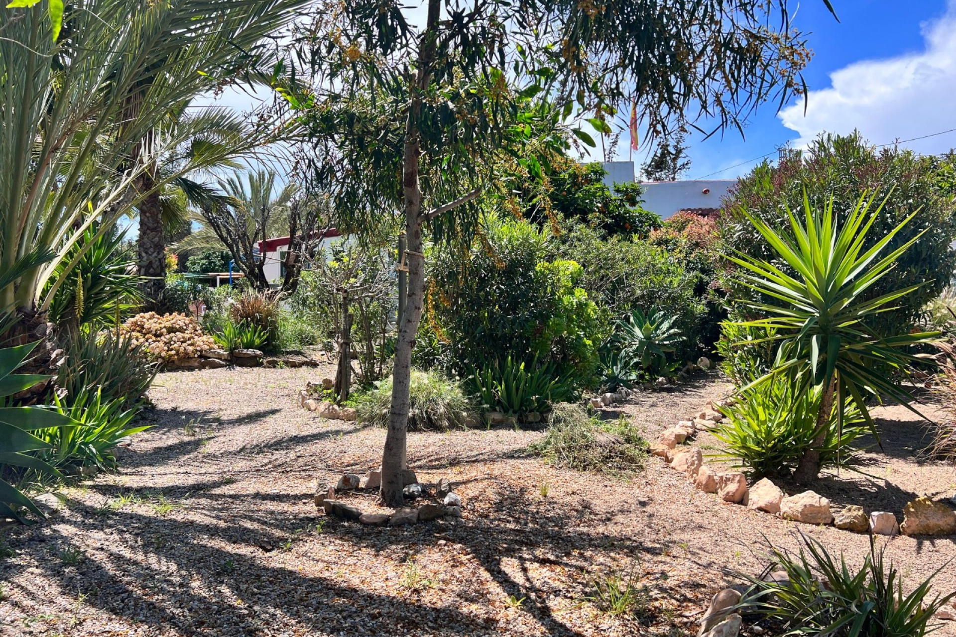 Herverkoop - Landhuis -
Cartagena