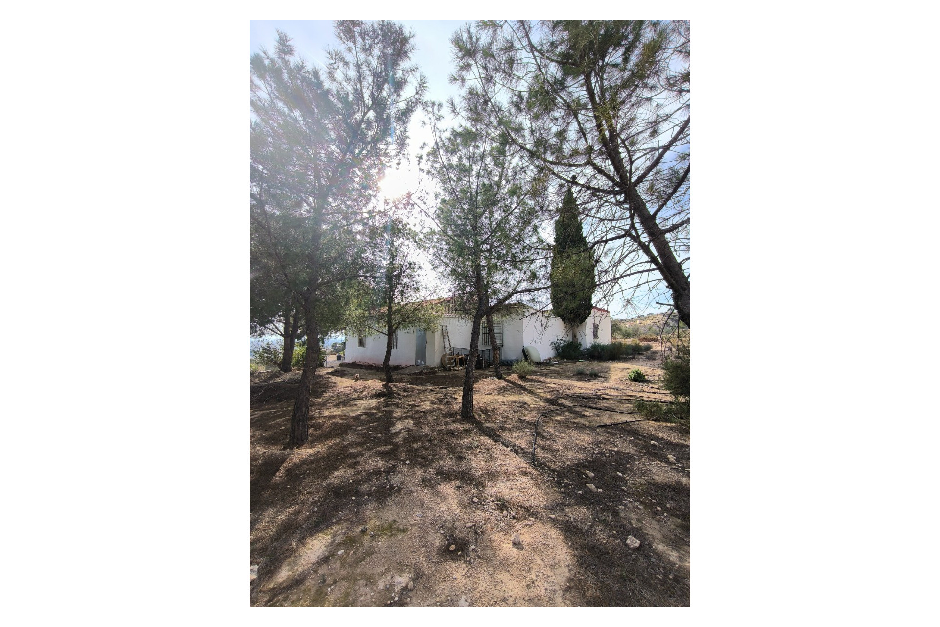 Herverkoop - Landhuis -
Fortuna