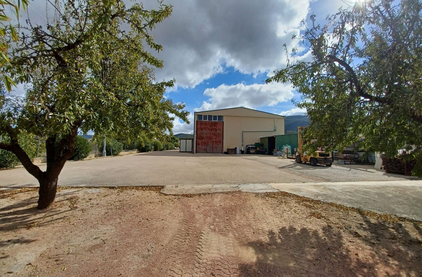 Herverkoop - Landhuis -
Monovar