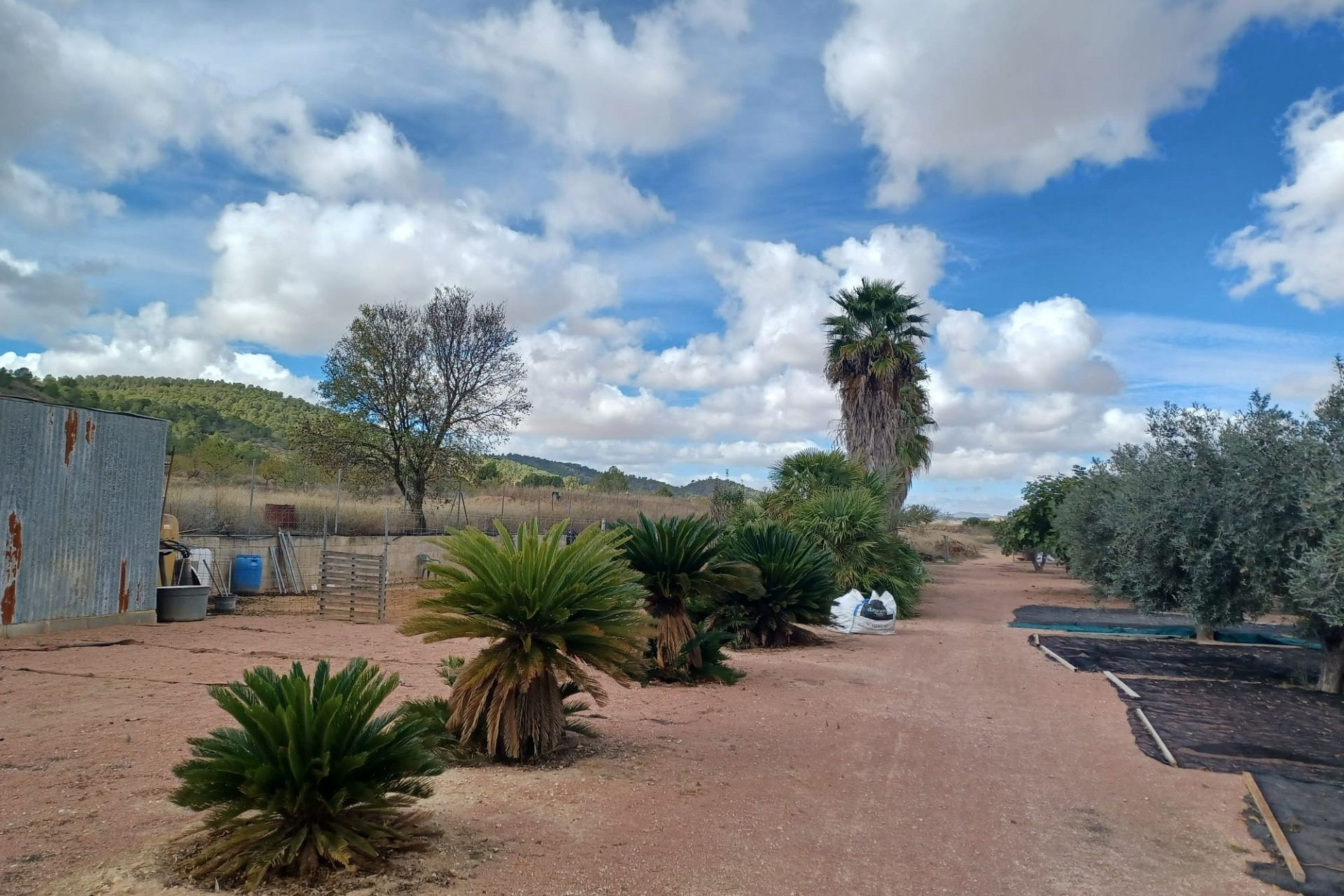 Herverkoop - Landhuis -
Monovar