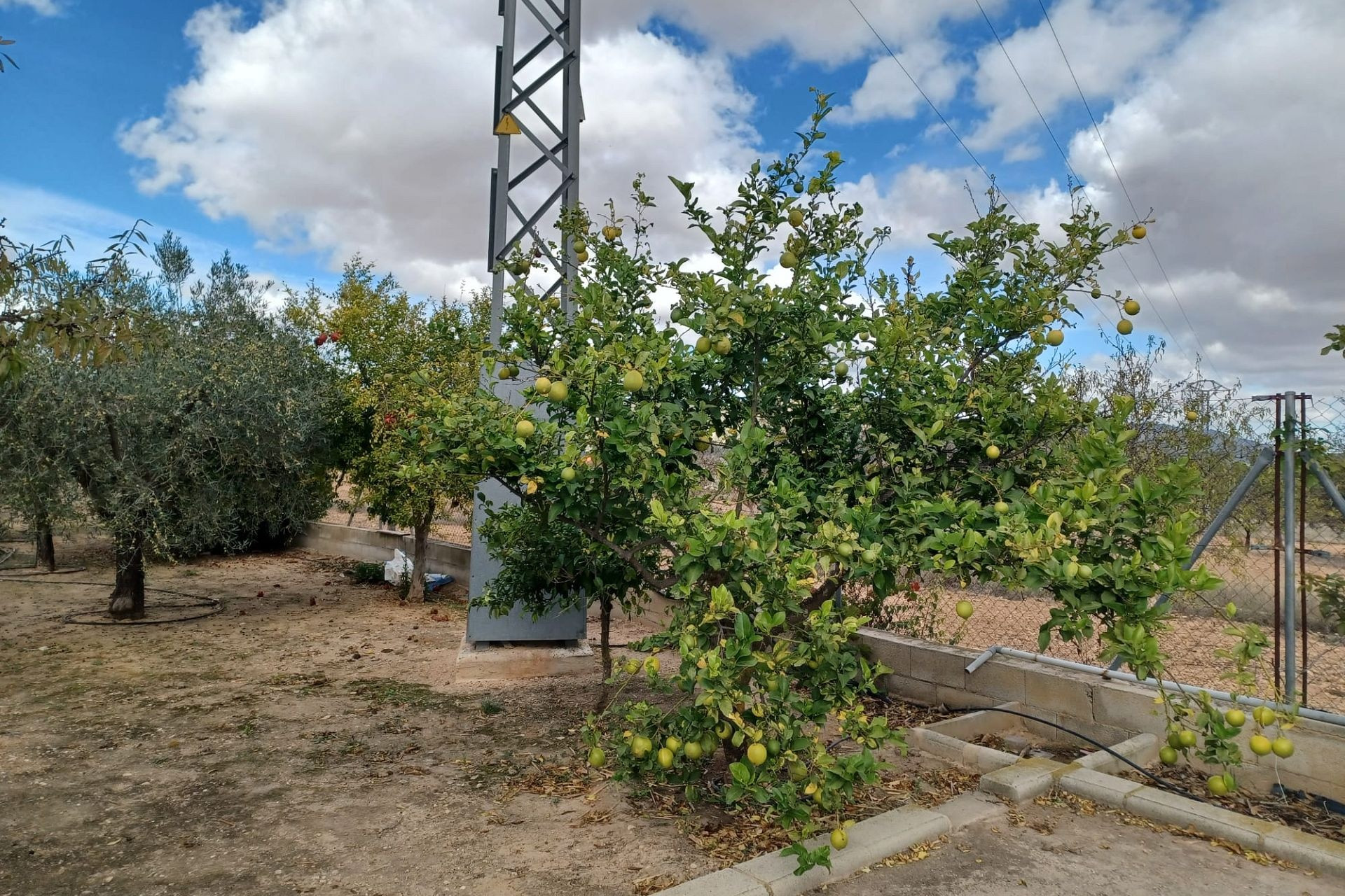 Herverkoop - Landhuis -
Monovar